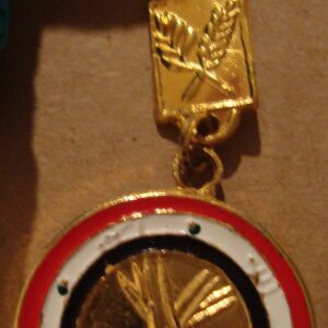 Mother of all Battles Medal for Iraqi Heroes