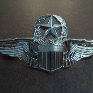 US Air Force Epert Pilot Wings